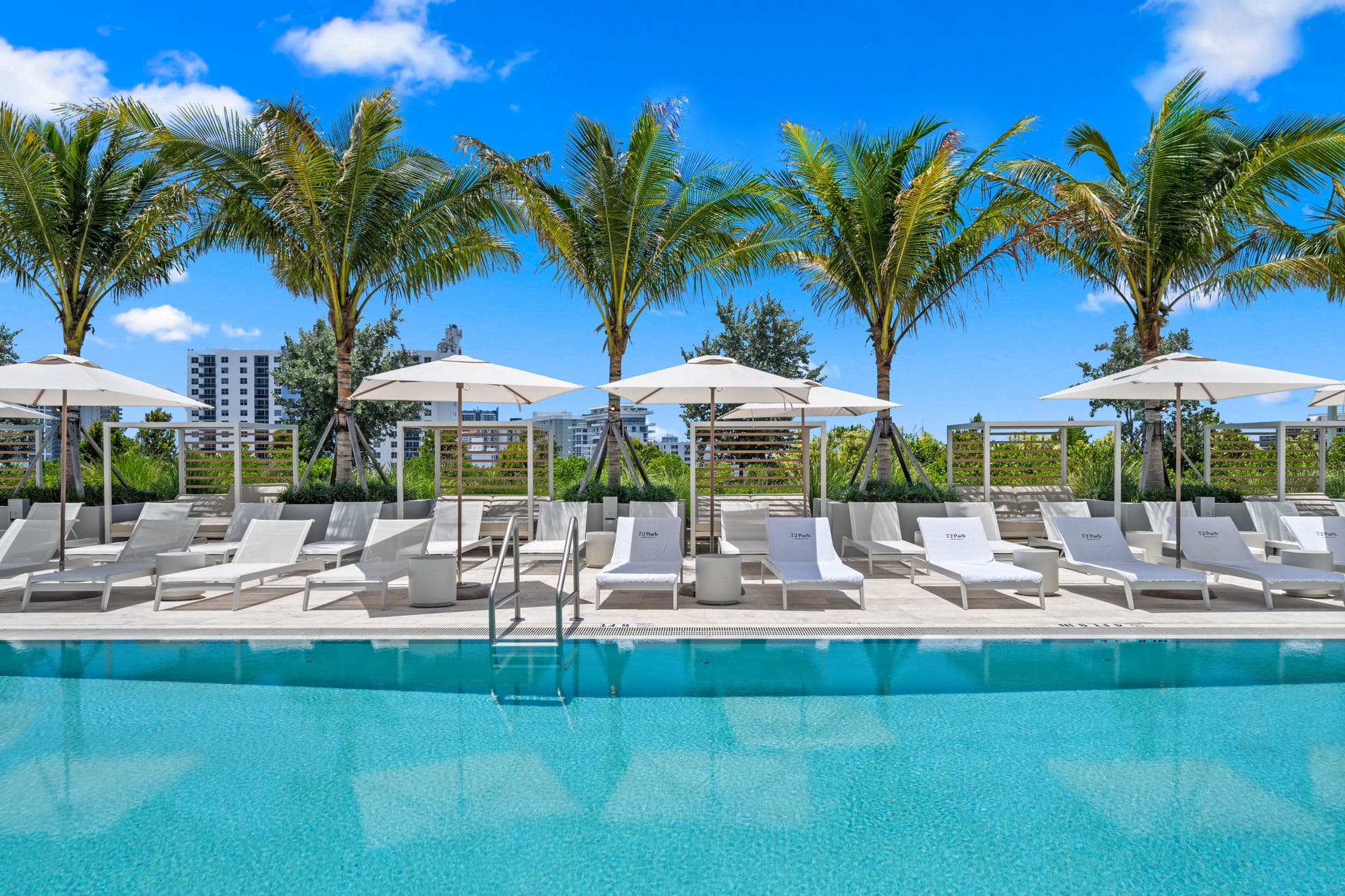 Swimming pool bordered by palms and loungers.